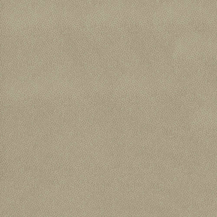 Spontaneity Wheat by Kasmir Fabric 5092 INDIA 30,000 Wyzenbeek Double Rubs H: N/A, V:N/A 54 - 55 - Fabric Carolina - Kasmir