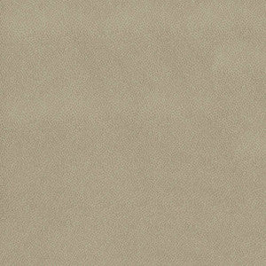 Spontaneity Wheat by Kasmir Fabric