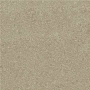 Spontaneity Wheat by Kasmir Fabric 5092 100% Polyester INDIA 30,000 Wyzenbeek Double Rubs H: N/A, V: N/A 54 - 55 - Fabric Carolina - Kasmir