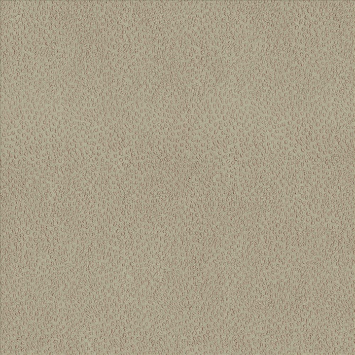 Spontaneity Wheat by Kasmir Fabric 5092 100% Polyester
 INDIA 30,000 Wyzenbeek Double Rubs Horizontal: N/A and Vertical: N/A 54 - Fabric Carolina -