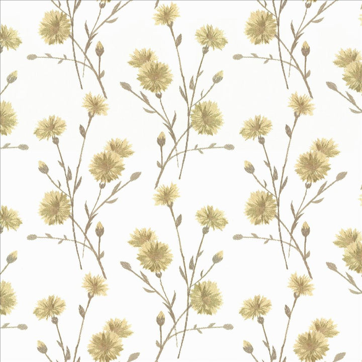 Sprightly Chamomile by Kasmir Fabric 1466 52% Cotton
48% Polyester
 INDIA 30,000 Wyzenbeek Double Rubs </p><p>Repeat: Horizontal: 10 3/8 inches and Vertical: 9 2/8 inches 51 - Fabric Carolina -
