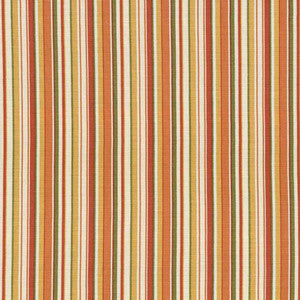 Spring Stripe Apricot by Kasmir Fabric