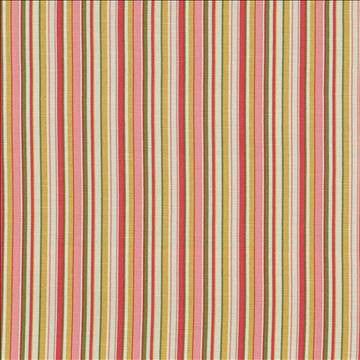 Spring Stripe Peony by Kasmir Fabric 5064 100% Cotton PAKISTAN 15,000 Wyzenbeek Double Rubs H: 5 inches, V: N/A 54 - 55 - Fabric Carolina - Kasmir