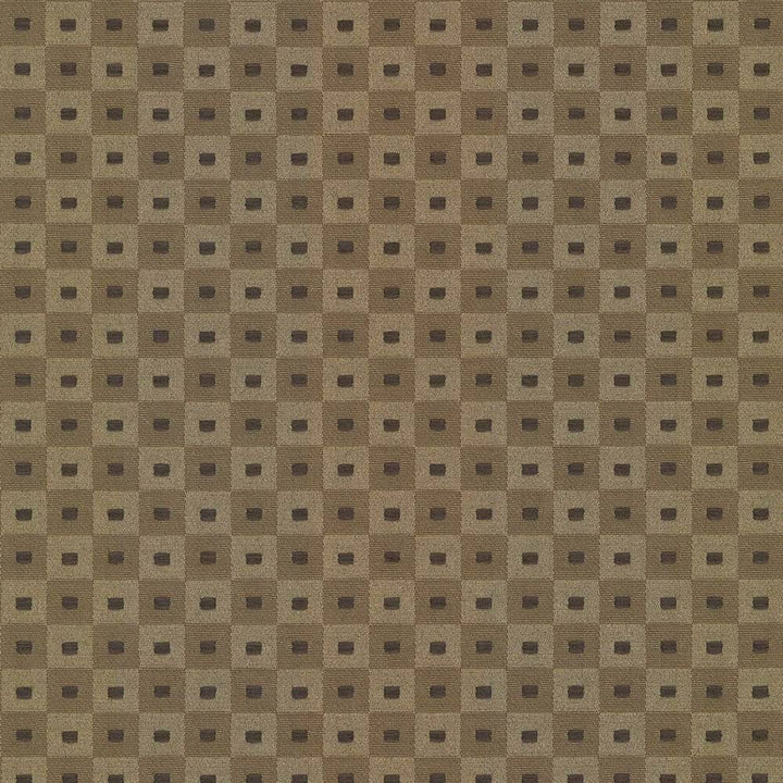 Square Pegs Coffee by Kasmir Fabric 5066 TAIWAN 30,000 Wyzenbeek Double Rubs H: 1 1/8 inches, V:1 1/8 inches 54 - 55 - Fabric Carolina - Kasmir