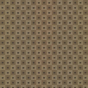 Square Pegs Coffee by Kasmir Fabric