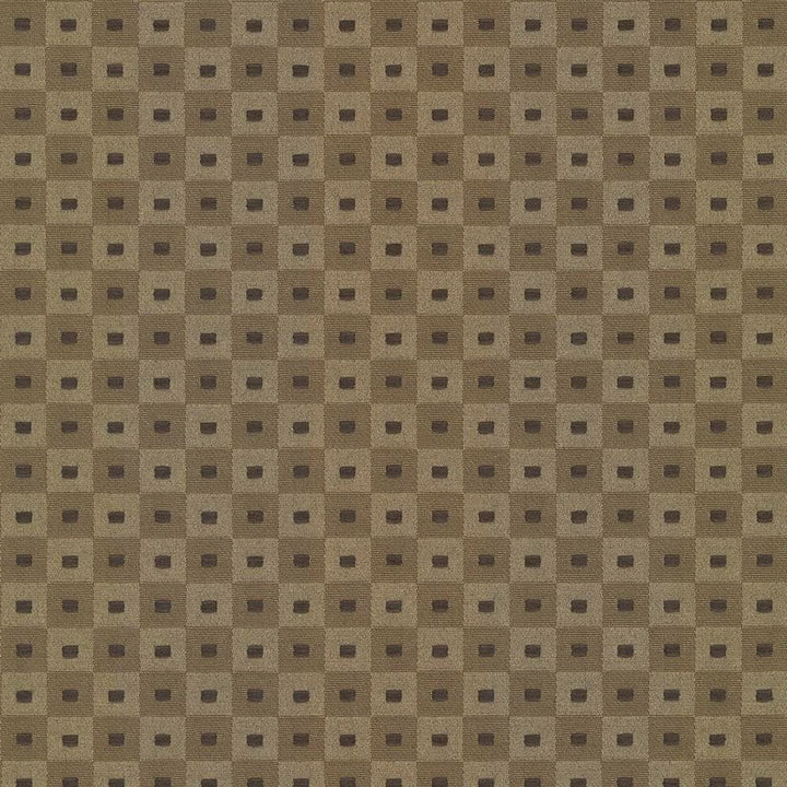 Square Pegs Coffee by Kasmir Fabric 5066 55% Cotton
45% Polyester
 TAIWAN 30,000 Wyzenbeek Double Rubs Horizontal: 1 1/8 inches and Vertical: 1 1/8 inches 54 - Fabric Carolina -