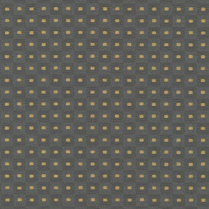 Square Pegs Graphite by Kasmir Fabric