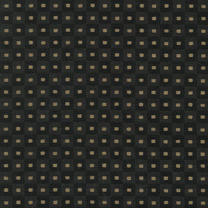 Square Pegs Jet  by Kasmir Fabric