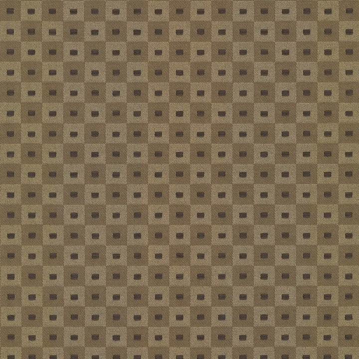 Square Pegs Coffee by Kasmir Fabric 5066 55% Cotton
45% Polyester
 TAIWAN </p><p>Repeat: Horizontal: 1 1/8 inches and Vertical: 1 1/8 inches 54 - 55 - Fabric Carolina -
