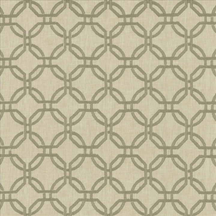 Squircle Silver by Kasmir Fabric 1451 40% Viscose
30% Cotton
30% Polyester
 INDIA 50,000 Wyzenbeek Double Rubs Horizontal: 3 2/8 inches and Vertical: 3 1/8 inches 54 - Fabric Carolina -