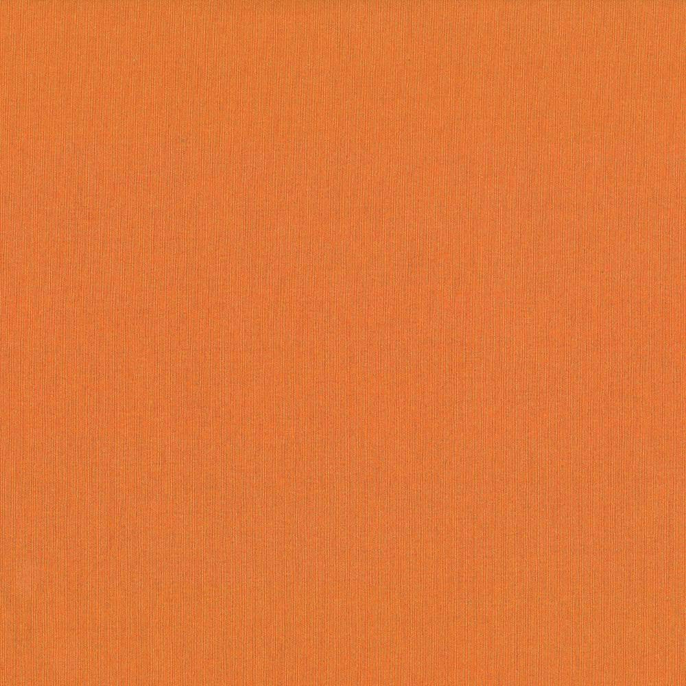 St Dupont Carrot by Kasmir Fabric 5045 INDIA 23,000 Wyzenbeek Double Rubs H: N/A, V:N/A 54 - Fabric Carolina - Kasmir