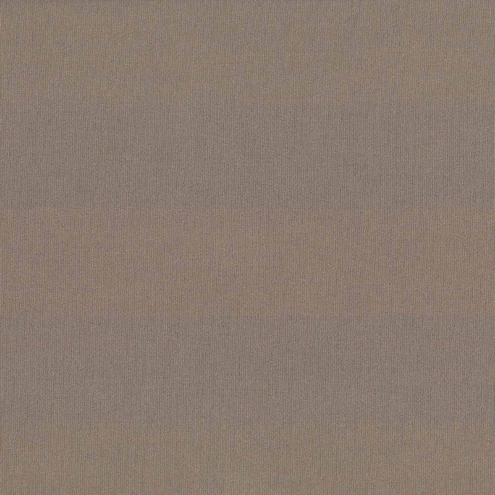 St Dupont Dark Taupe by Kasmir Fabric 5045 INDIA 23,000 Wyzenbeek Double Rubs H: N/A, V:N/A 54 - Fabric Carolina - Kasmir