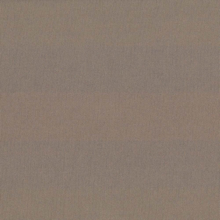 St Dupont Dark Taupe by Kasmir Fabric 5045 54% Cotton
46% Polyester
 INDIA 23,000 Wyzenbeek Double Rubs </p><p>Repeat: Horizontal: N/A and Vertical: N/A 54 - Fabric Carolina -