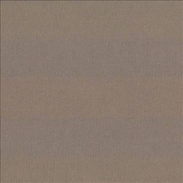 St Dupont Dark Taupe by Kasmir Fabric 5045 54% Cotton 46% Polyester INDIA 23,000 Wyzenbeek Double Rubs H: N/A, V: N/A 54 - Fabric Carolina - Kasmir