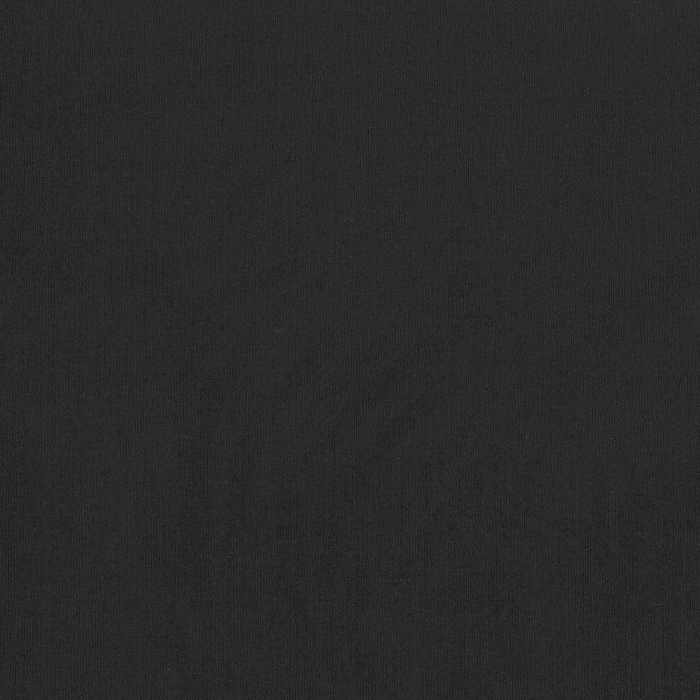 St Dupont Ebony by Kasmir Fabric 5045 INDIA 23,000 Wyzenbeek Double Rubs H: N/A, V:N/A 54 - Fabric Carolina - Kasmir
