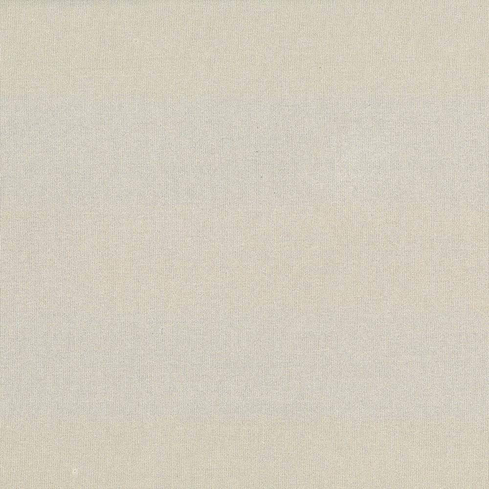 St Dupont Hemp by Kasmir Fabric 5045 INDIA 23,000 Wyzenbeek Double Rubs H: N/A, V:N/A 54 - Fabric Carolina - Kasmir