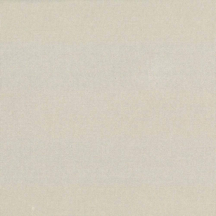 St Dupont Hemp by Kasmir Fabric 5045 INDIA 23,000 Wyzenbeek Double Rubs H: N/A, V:N/A 54 - Fabric Carolina - Kasmir