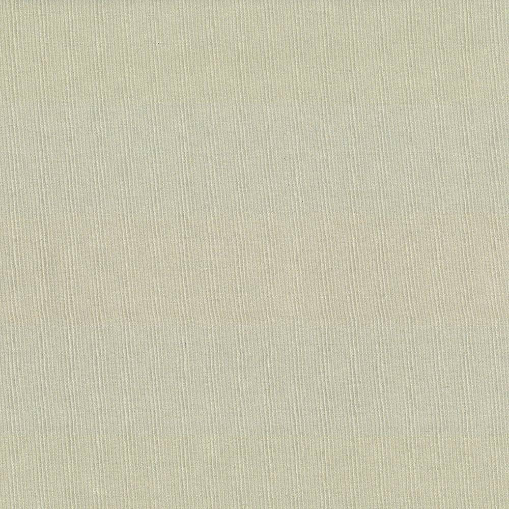 St Dupont Linen by Kasmir Fabric 5045 INDIA 23,000 Wyzenbeek Double Rubs H: N/A, V:N/A 54 - Fabric Carolina - Kasmir