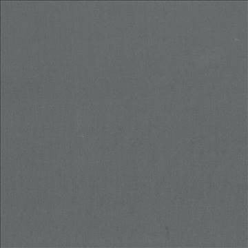 St Dupont Mercury by Kasmir Fabric 5045 54% Cotton 46% Polyester INDIA 23,000 Wyzenbeek Double Rubs H: N/A, V: N/A 54 - Fabric Carolina - Kasmir
