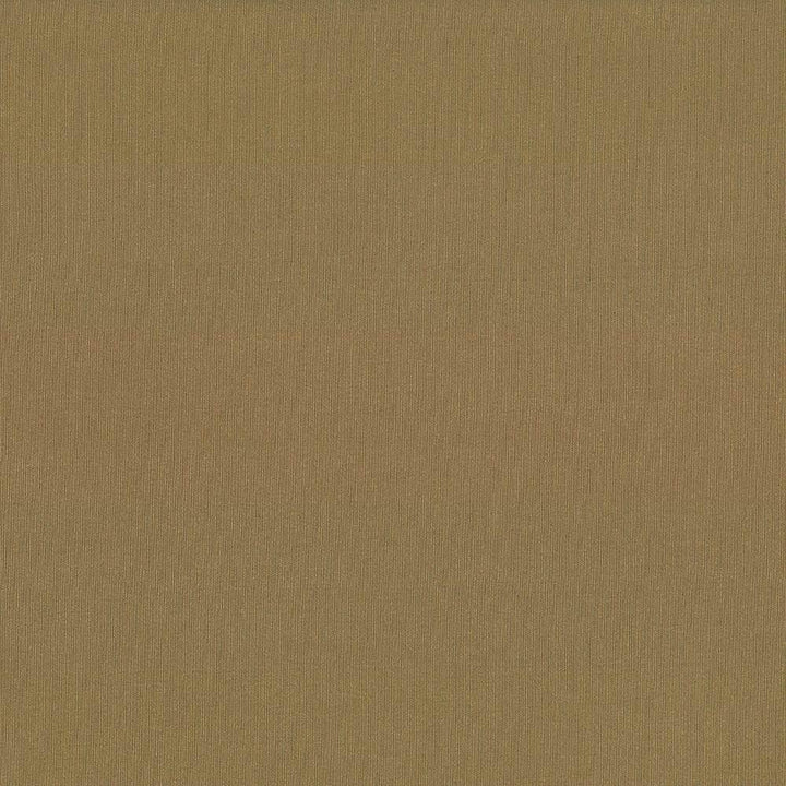 St Dupont Nugget by Kasmir Fabric 5045 INDIA 23,000 Wyzenbeek Double Rubs H: N/A, V:N/A 54 - Fabric Carolina - Kasmir