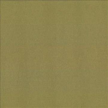 St Dupont Olive by Kasmir Fabric 5045 54% Cotton 46% Polyester INDIA 23,000 Wyzenbeek Double Rubs H: N/A, V: N/A 54 - Fabric Carolina - Kasmir