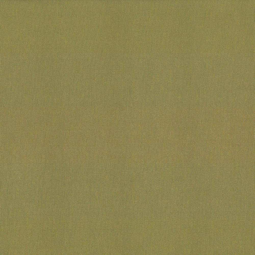 St Dupont Olive by Kasmir Fabric 5045 INDIA 23,000 Wyzenbeek Double Rubs H: N/A, V:N/A 54 - Fabric Carolina - Kasmir