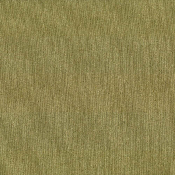 St Dupont Olive by Kasmir Fabric 5045 INDIA 23,000 Wyzenbeek Double Rubs H: N/A, V:N/A 54 - Fabric Carolina - Kasmir