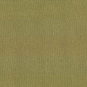 St Dupont Olive by Kasmir Fabric