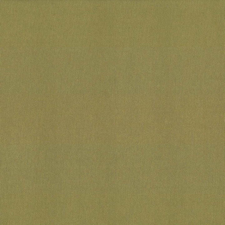 St Dupont Olive by Kasmir Fabric 5045 54% Cotton
46% Polyester
 INDIA 23,000 Wyzenbeek Double Rubs Horizontal: N/A and Vertical: N/A 54 - Fabric Carolina -