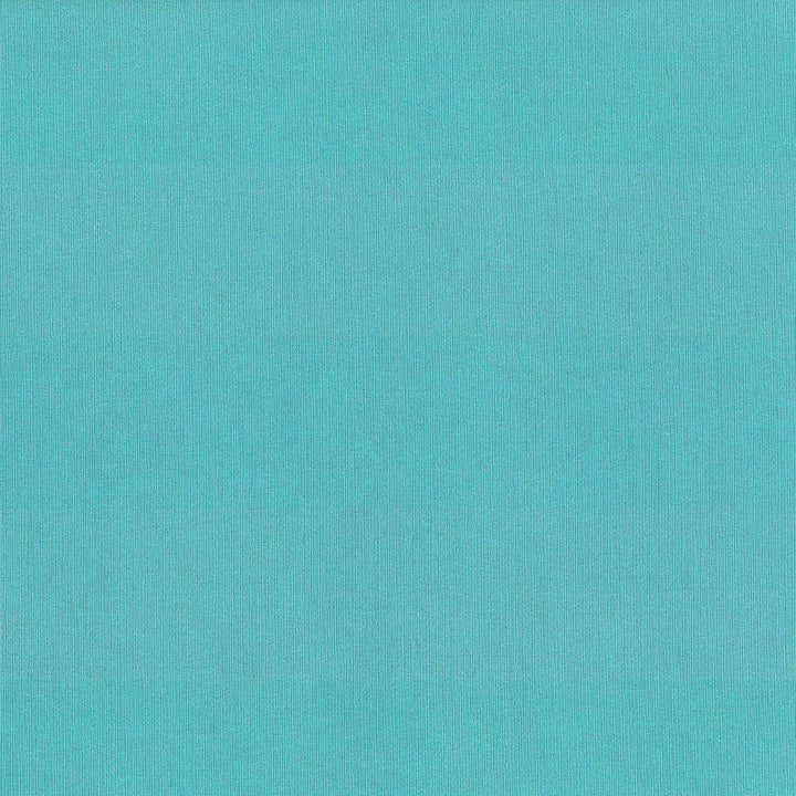 St Dupont Pool by Kasmir Fabric 5045 INDIA 23,000 Wyzenbeek Double Rubs H: N/A, V:N/A 54 - Fabric Carolina - Kasmir