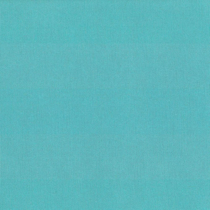 St Dupont Pool by Kasmir Fabric 5045 54% Cotton
46% Polyester
 INDIA 23,000 Wyzenbeek Double Rubs </p><p>Repeat: Horizontal: N/A and Vertical: N/A 54 - Fabric Carolina -