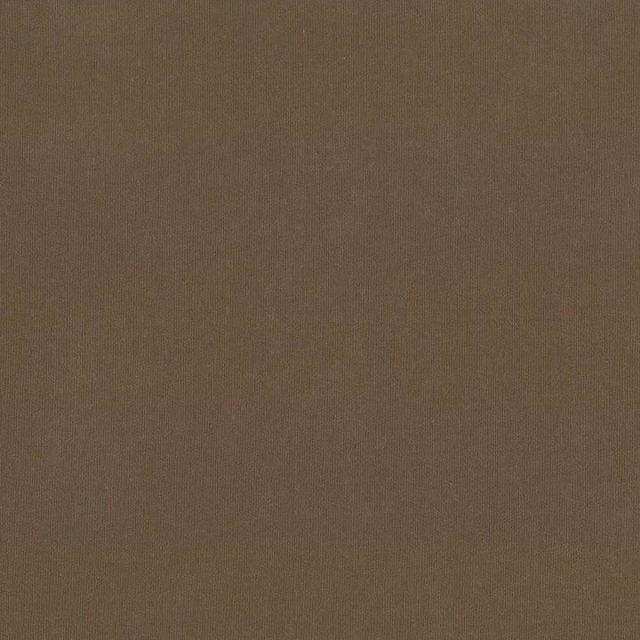 St Dupont Sable by Kasmir Fabric 5045 54% Cotton
46% Polyester
 INDIA 23,000 Wyzenbeek Double Rubs Horizontal: N/A and Vertical: N/A 54 - Fabric Carolina -