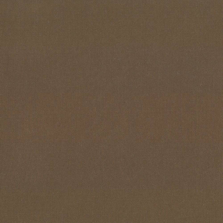 St Dupont Sable by Kasmir Fabric 5045 INDIA 23,000 Wyzenbeek Double Rubs H: N/A, V:N/A 54 - Fabric Carolina - Kasmir