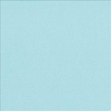 St Dupont Spa by Kasmir Fabric 5045 54% Cotton 46% Polyester INDIA 23,000 Wyzenbeek Double Rubs H: N/A, V: N/A 54 - Fabric Carolina - Kasmir