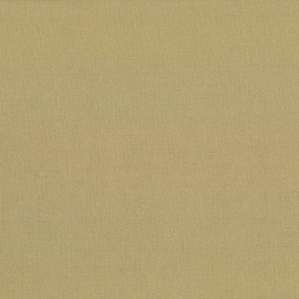 St Dupont Tahini by Kasmir Fabric 5045 INDIA 23,000 Wyzenbeek Double Rubs H: N/A, V:N/A 54 - Fabric Carolina - Kasmir