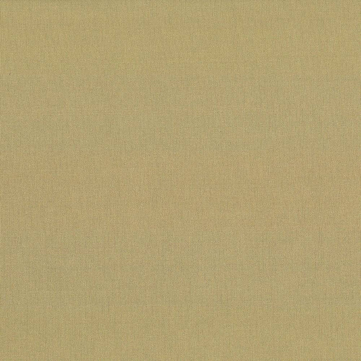St Dupont Tahini by Kasmir Fabric 5045 INDIA 23,000 Wyzenbeek Double Rubs H: N/A, V:N/A 54 - Fabric Carolina - Kasmir