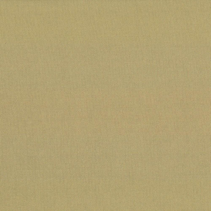 St Dupont Tahini by Kasmir Fabric 5045 54% Cotton
46% Polyester
 INDIA 23,000 Wyzenbeek Double Rubs Horizontal: N/A and Vertical: N/A 54 - Fabric Carolina -