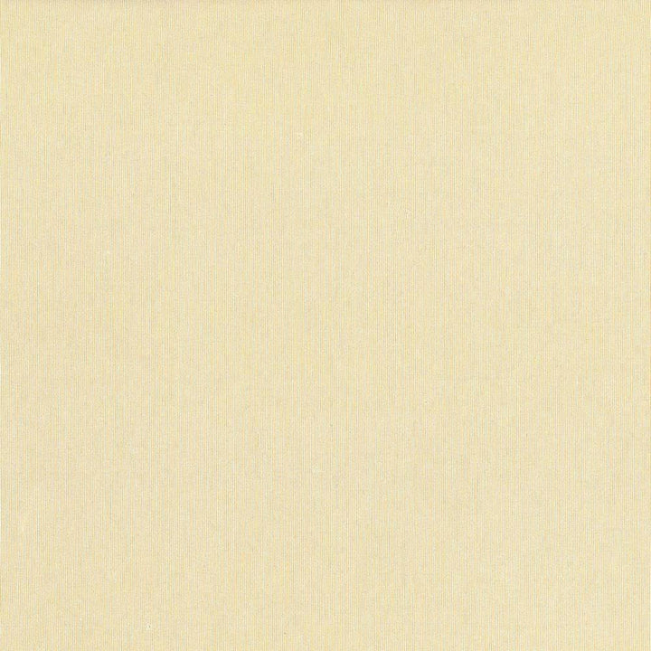 St Dupont Vanilla by Kasmir Fabric 5045 INDIA 23,000 Wyzenbeek Double Rubs H: N/A, V:N/A 54 - Fabric Carolina - Kasmir