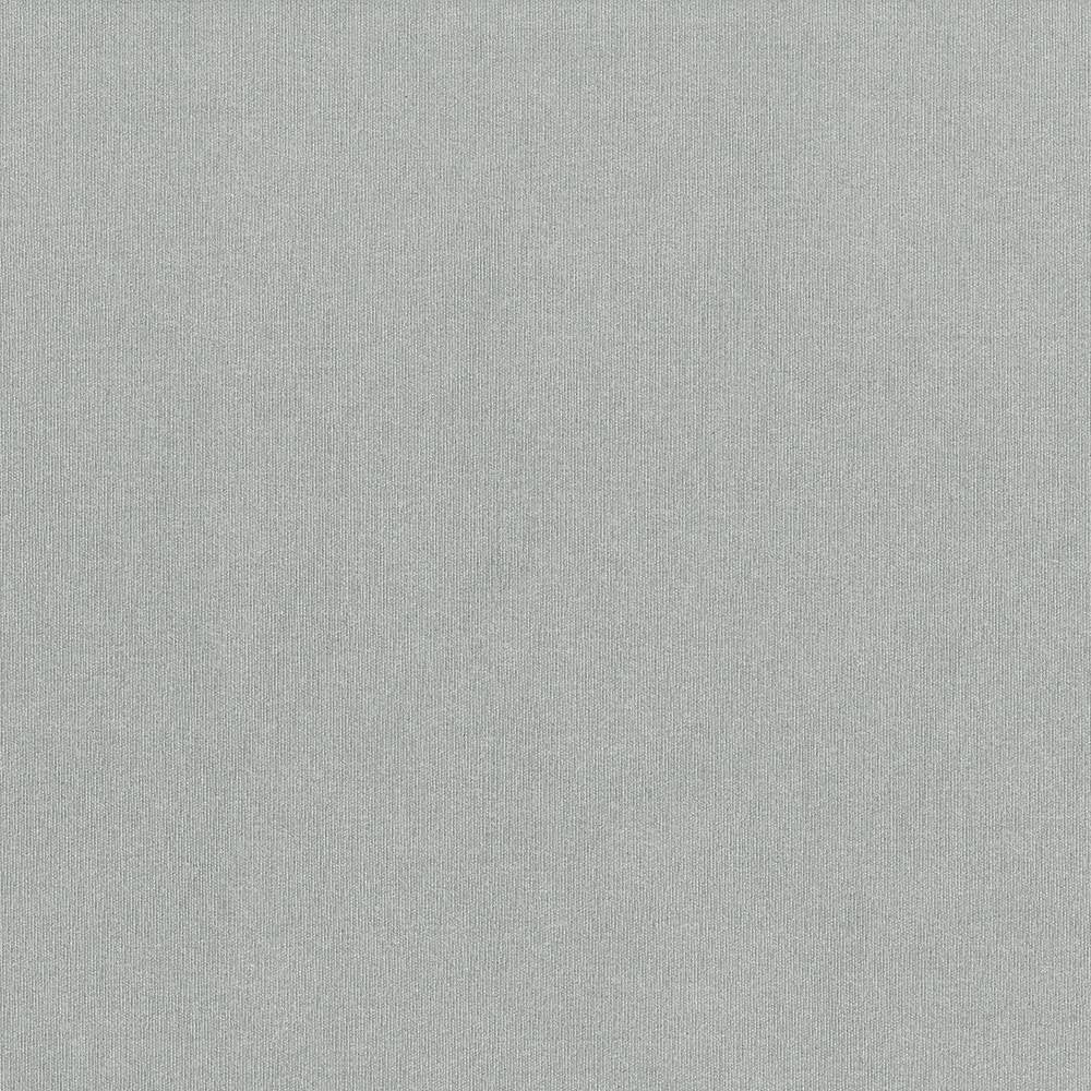St Dupont Zinc by Kasmir Fabric 5045 INDIA 23,000 Wyzenbeek Double Rubs H: N/A, V:N/A 54 - Fabric Carolina - Kasmir