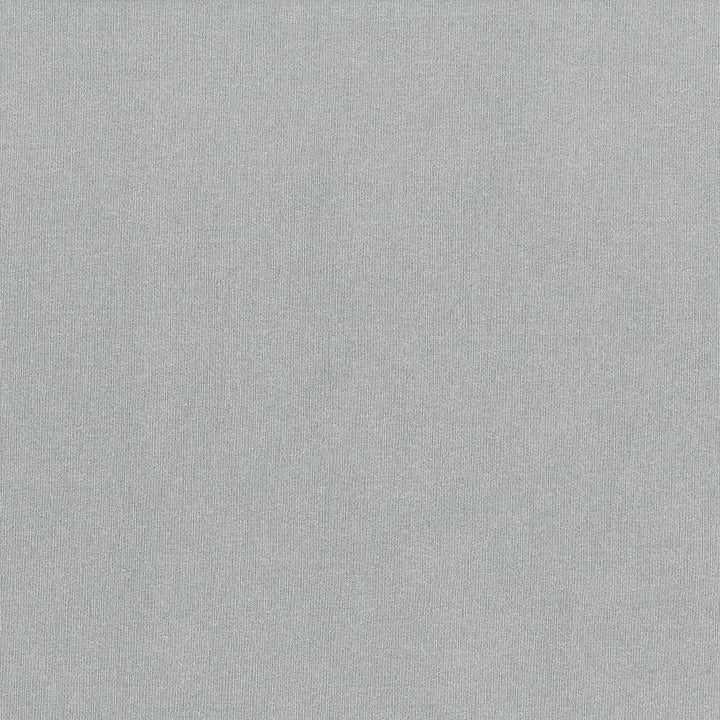 St Dupont Zinc by Kasmir Fabric 5045 INDIA 23,000 Wyzenbeek Double Rubs H: N/A, V:N/A 54 - Fabric Carolina - Kasmir