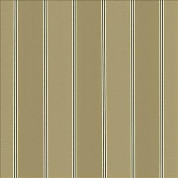 St Martin Stripe Coffee by Kasmir Fabric 8003 100% Polyester INDIA 15,000 Wyzenbeek Double Rubs H: 12 6/8 inches, V: N/A 54 - 55 - Fabric Carolina - Kasmir