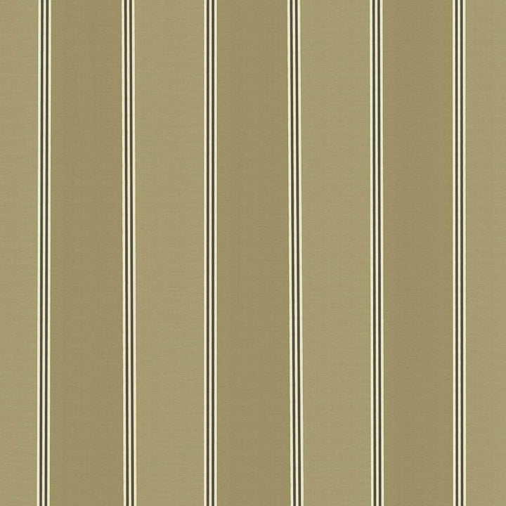 St Martin Stripe Coffee by Kasmir Fabric 8003 INDIA 15,000 Wyzenbeek Double Rubs H: 12 6/8 inches, V:N/A 54 - 55 - Fabric Carolina - Kasmir