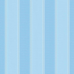 St Martin Stripe Sky by Kasmir Fabric