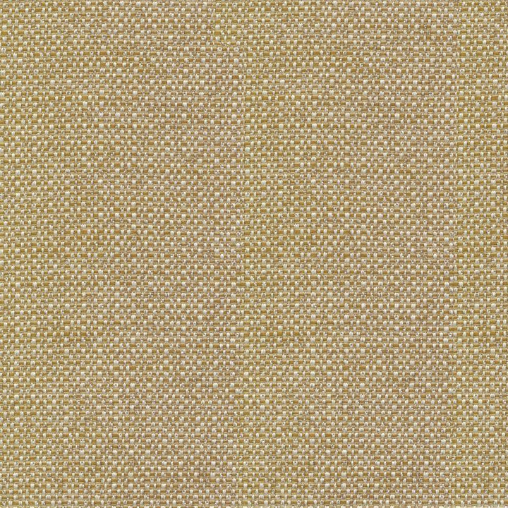Standing Ovation Amberglow by Kasmir Fabric 1376 INDIA 30,000 Wyzenbeek Double Rubs H: N/A, V:N/A 54 - 55 - Fabric Carolina - Kasmir