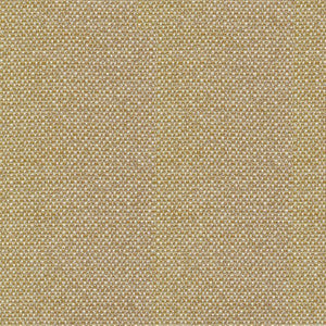 Standing Ovation Amberglow by Kasmir Fabric