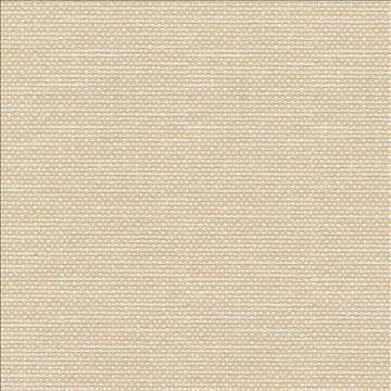 Standing Ovation Cameo by Kasmir Fabric 1376 100% Polyester INDIA 30,000 Wyzenbeek Double Rubs H: N/A, V: N/A 54 - 55 - Fabric Carolina - Kasmir