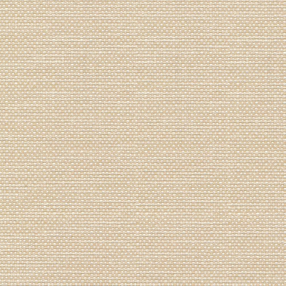 Standing Ovation Cameo by Kasmir Fabric 1376 100% Polyester INDIA 30,000 Wyzenbeek Double Rubs Horizontal: 0 Inches and Vertical: 0 Inches 54 - 55 - Fabric Carolina -