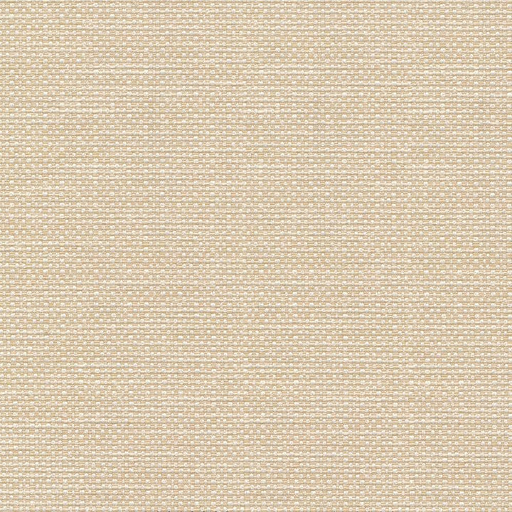 Standing Ovation Cameo by Kasmir Fabric 1376 100% Polyester
 INDIA 30,000 Wyzenbeek Double Rubs </p><p>Repeat: Horizontal: N/A and Vertical: N/A 54 - Fabric Carolina -