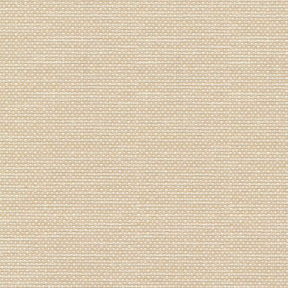 Standing Ovation Cameo by Kasmir Fabric 1376 INDIA 30,000 Wyzenbeek Double Rubs H: N/A, V:N/A 54 - 55 - Fabric Carolina - Kasmir