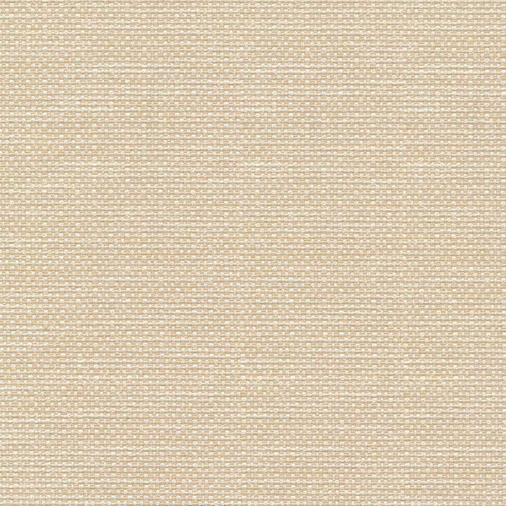Standing Ovation Cameo by Kasmir Fabric 1376 INDIA 30,000 Wyzenbeek Double Rubs H: N/A, V:N/A 54 - 55 - Fabric Carolina - Kasmir